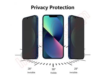 Tempered glass screen ani-spy function protector for Apple iPhone 13 Pro Max, A2643